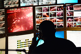 bottom-placeholder-img