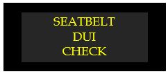 seatbelt dui check