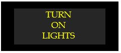 turn on lights
